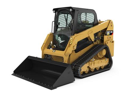 Chargeurs Skid Steer - 239D (.. - ..)